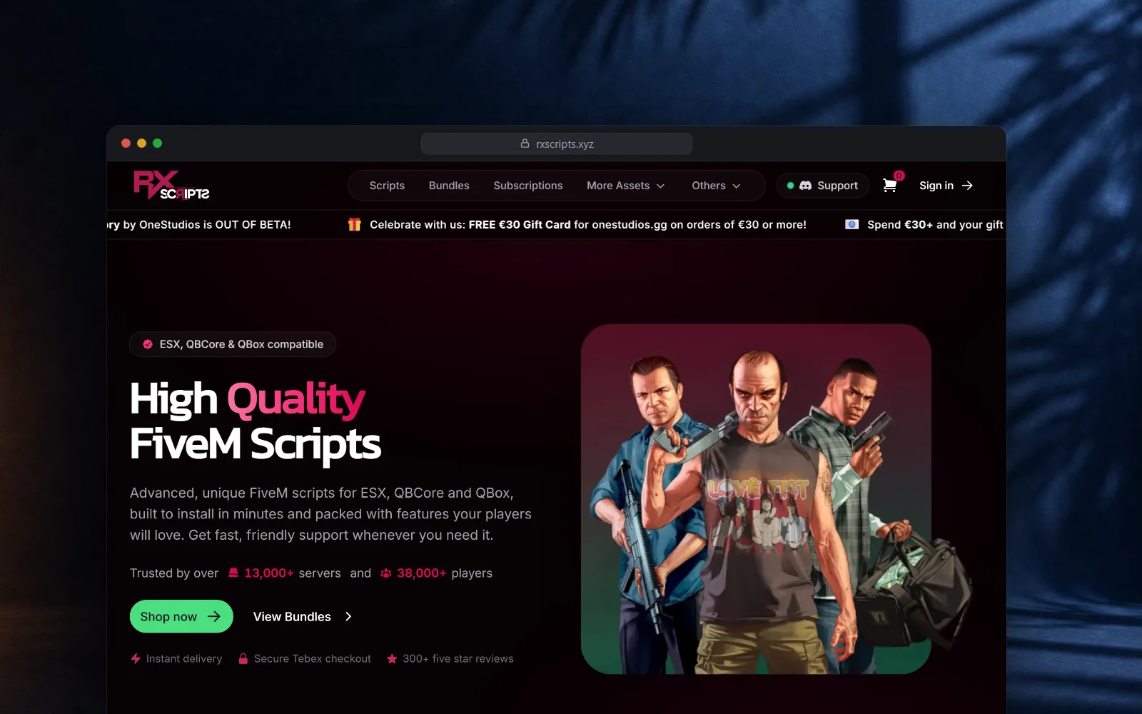 RX Scripts, 150+ FiveM Scripts en de webshop die ze verkoopt