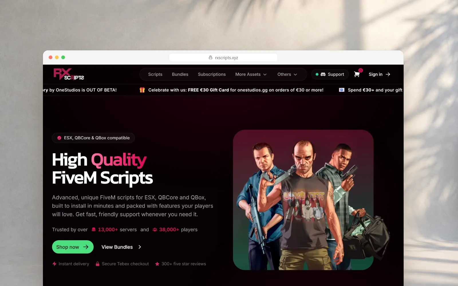 RX Scripts, 150+ FiveM Scripts en de webshop die ze verkoopt